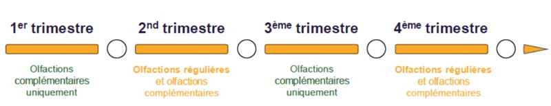 chronologie des olfactions sur l’année 2025