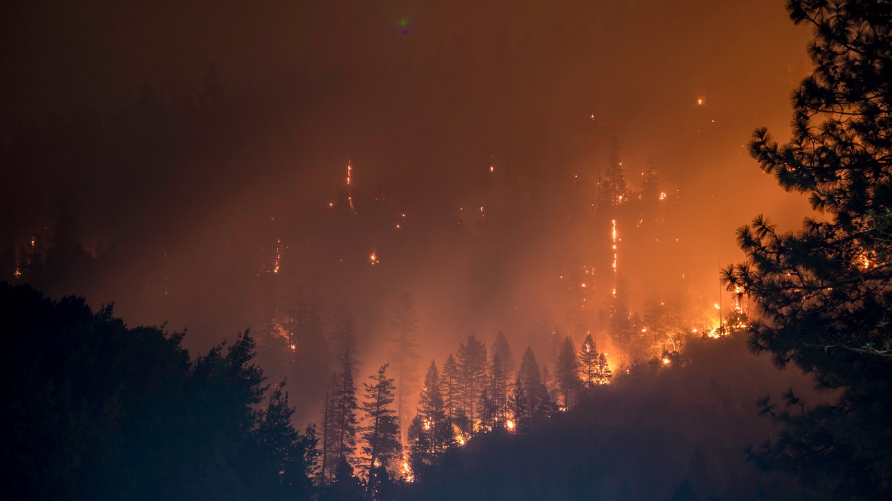 Photo de Matt Howard sur Unsplash, photo d'illustration, on voit une forêt en feu de nuit