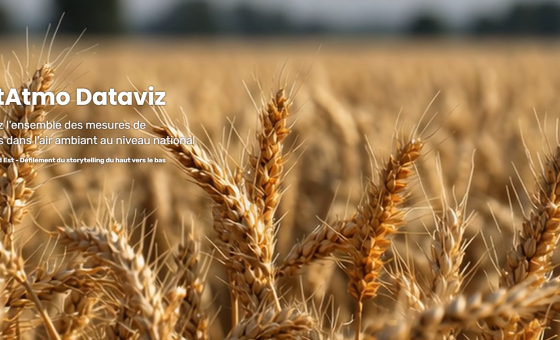 page d'accueil de la dataviz PhytAtmo où l'on voit un champ de blé avec le logo atmofrance