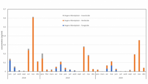 Evolution-temporelle-des-concentrations-en-pesticides-a-Angers-juin-2018-decembre-2020