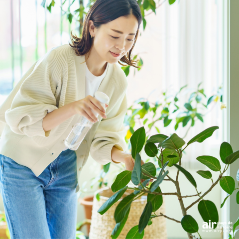 Femme vaporisant une plante d'intérieur.