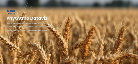 page d'accueil de la dataviz PhytAtmo où l'on voit un champ de blé avec le logo atmofrance