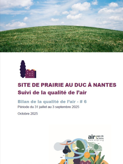 couv du bilan6 de la qualité de l'air à la Prairie au Duc à Nantes avec illustration d'herbe et de ciel